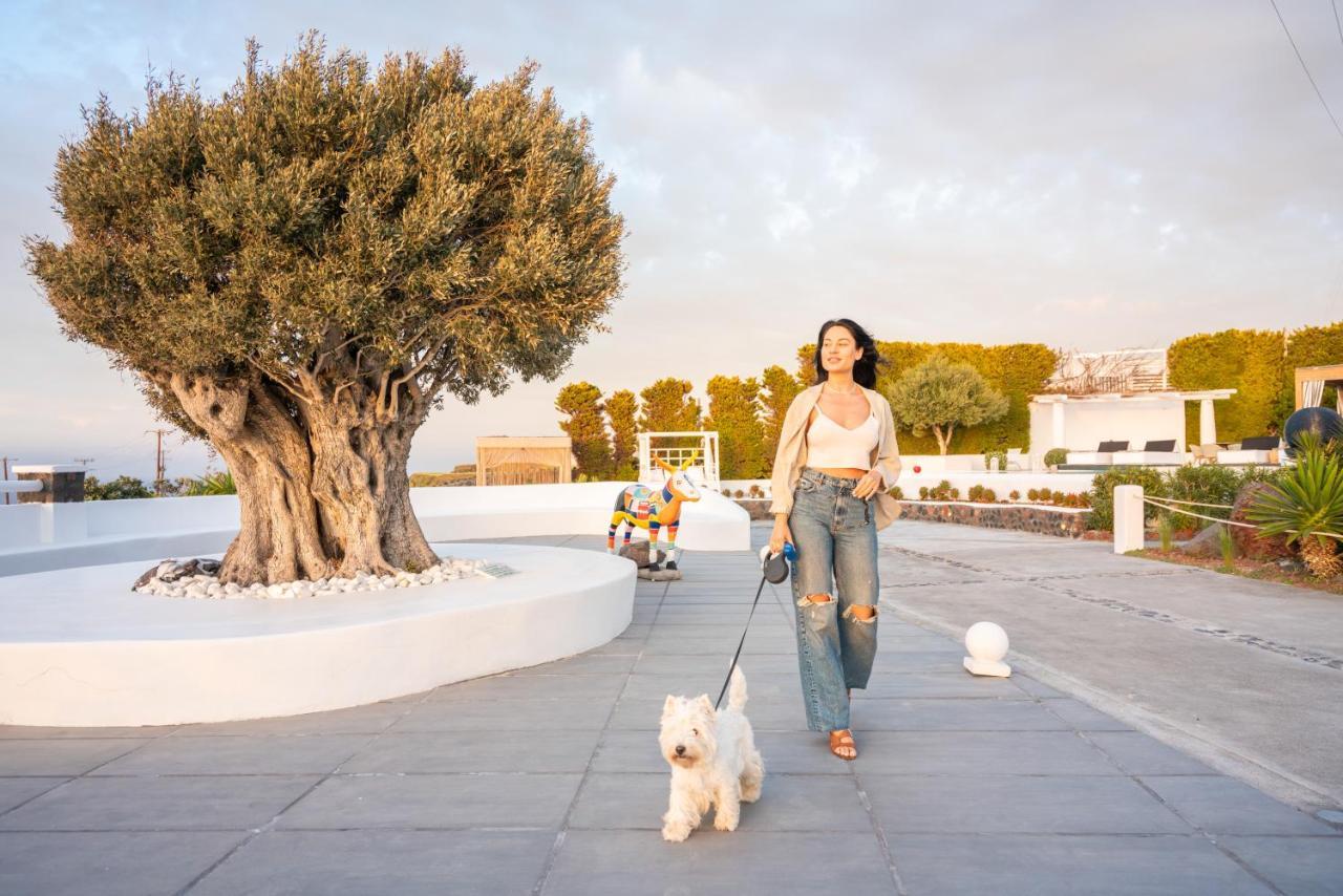 Sunset Vilă Oia